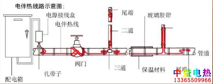 草莓视频在线免费下载系统图